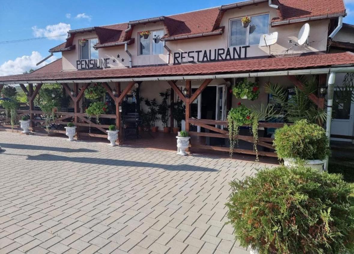 Casa Soral Panzió Felőr Kültér fotó